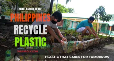 Philippine Schools Leading the Way in Plastic Recycling