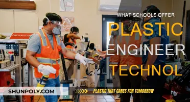 Best Plastics Engineering Technology Schools