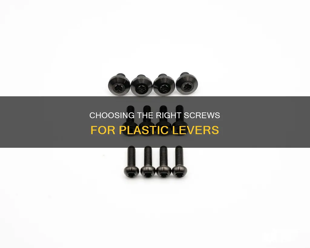 what screws are good for plastic levers