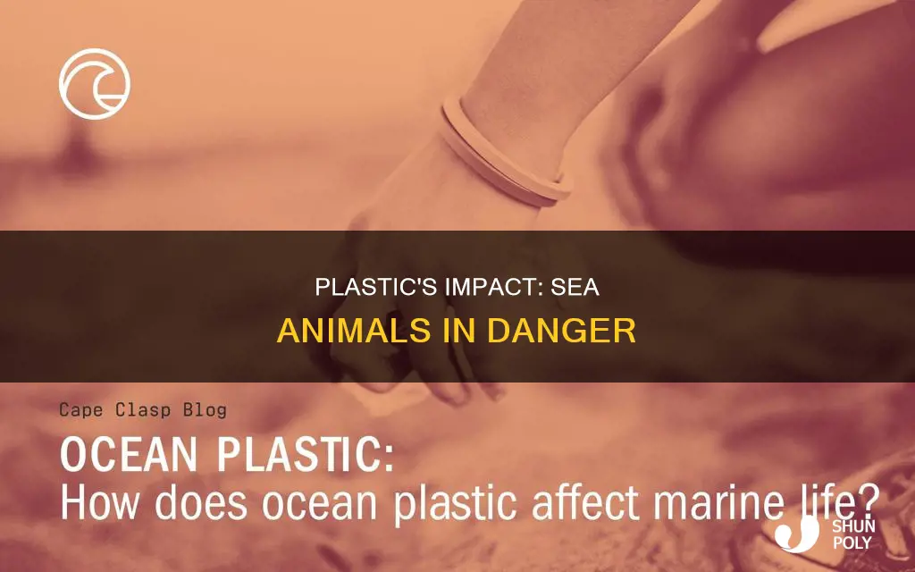 what sea animals are affected by plastic