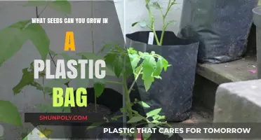 Easy Plastic Bag Gardening: Seeds to Grow in Confined Spaces