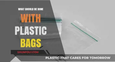 Sustainable Solutions: Reusing, Recycling, and Reducing Plastic Bag Waste