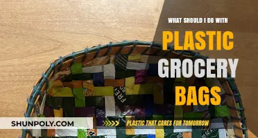 Creative Ways to Reuse and Recycle Plastic Grocery Bags
