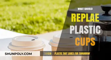 Sustainable Alternatives: What Should Replace Plastic Cups?