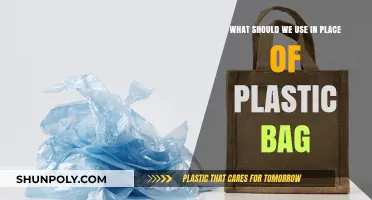 Eco-Friendly Alternatives: Replacing Plastic Bags for a Greener Future