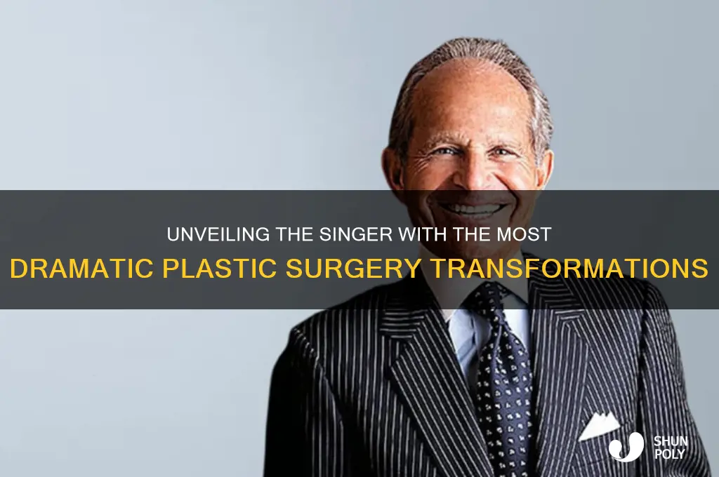 what singer had the most plastic surgery