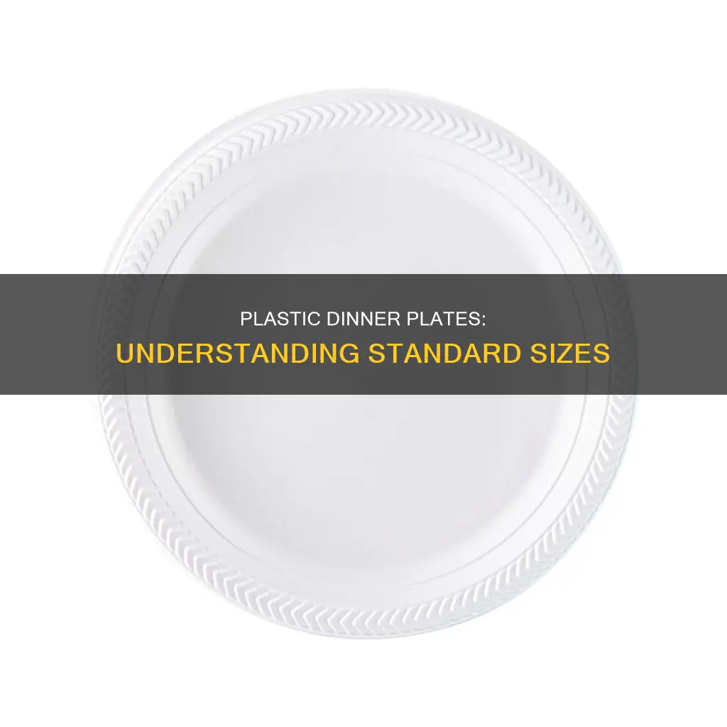 what size are plastic dinner plates
