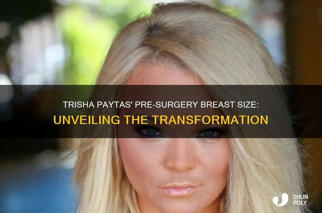 what size bea was trisha paytas vefore plastic surgery