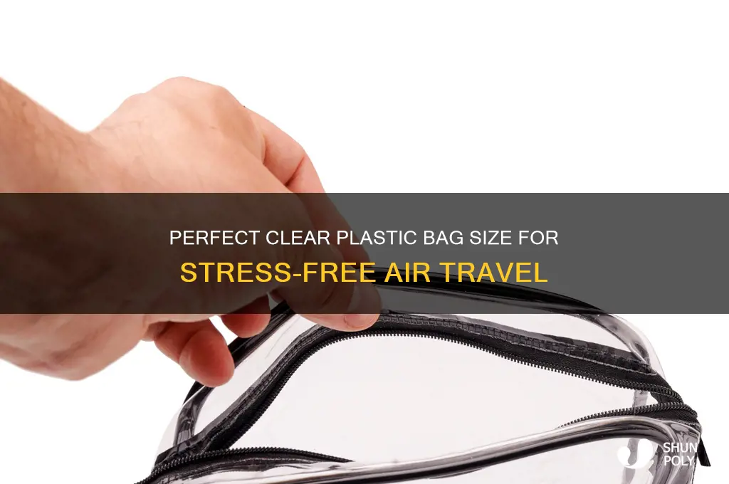 what size clear plastic bag for air travel