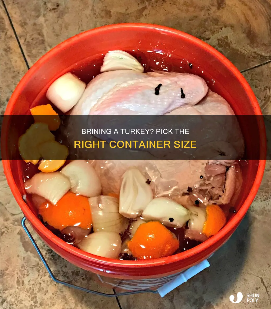 what size do you need plastic container for brining turkey