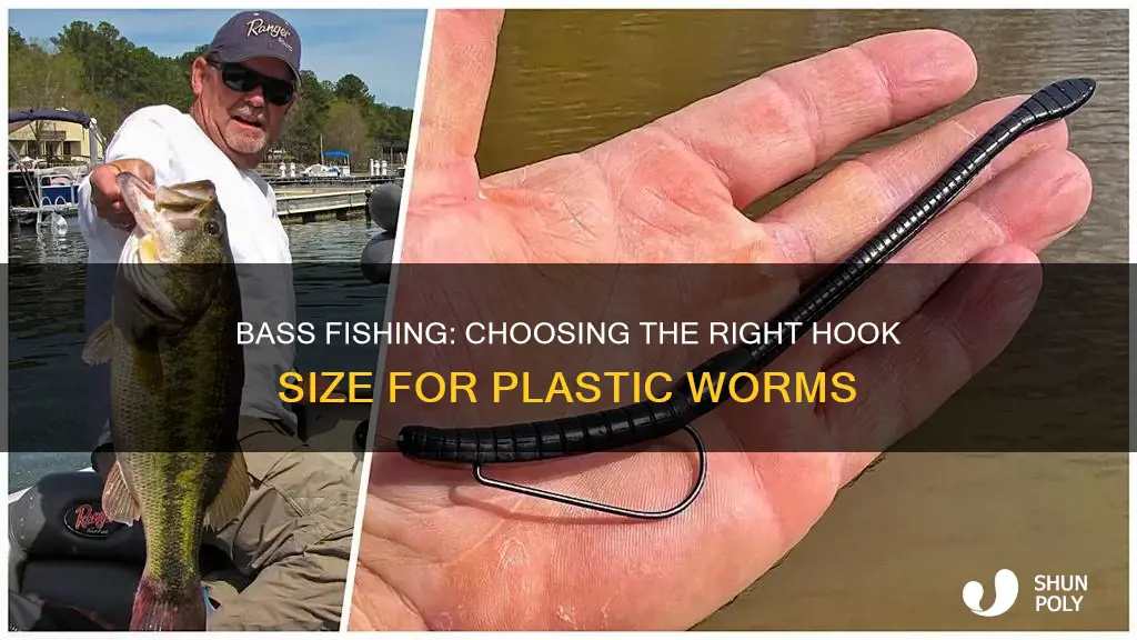 what size hook for bass plastic worm
