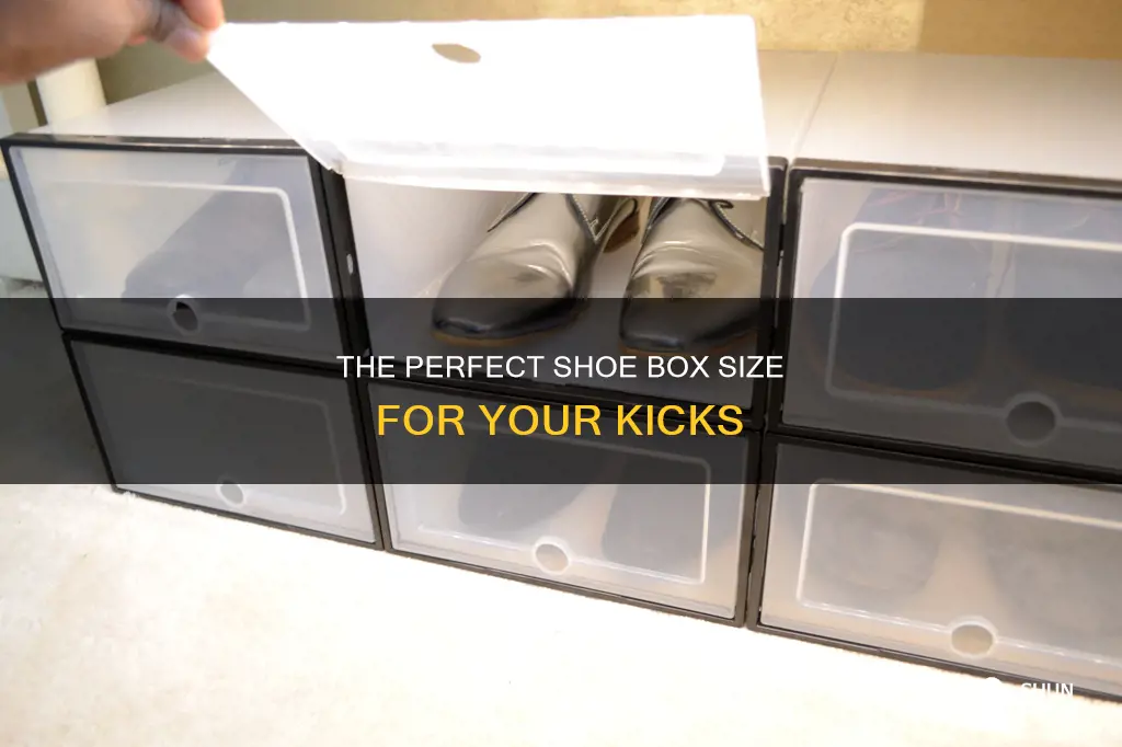 what size is a plastic shoe box