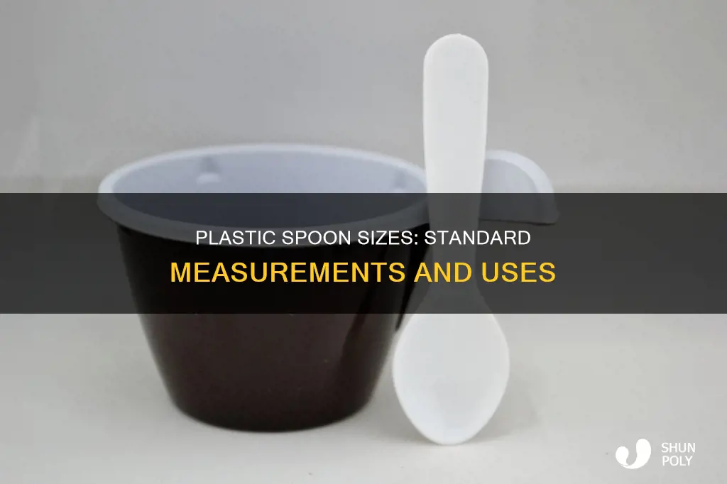 what size is a plastic spon