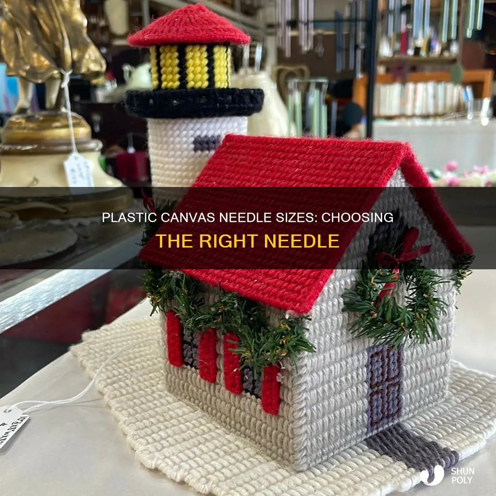 what size needle for plastic canvas