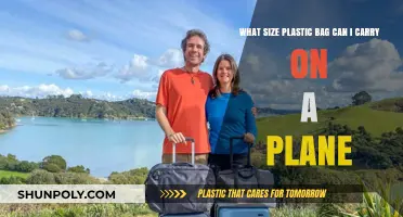 Carry-On Plastic Bag Size: What’s Allowed on Your Flight?