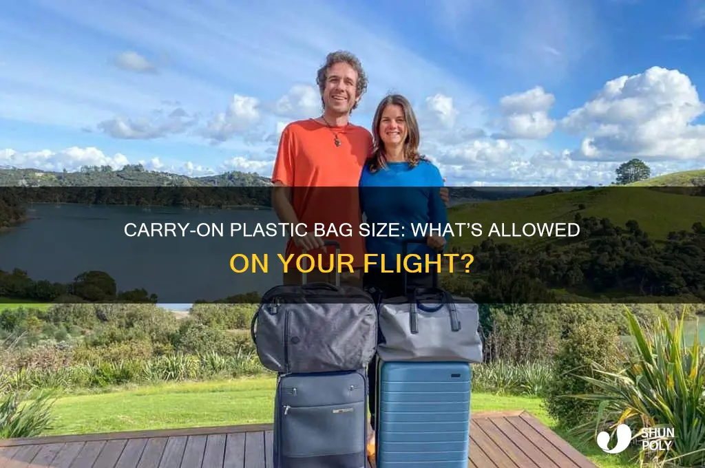 what size plastic bag can i carry on a plane