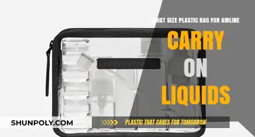 Perfect Plastic Bag Size for Airline Carry-On Liquids: A Guide
