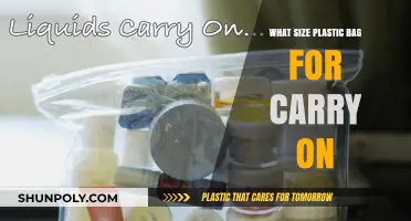 Perfect Carry-On Plastic Bag Size: A Comprehensive Guide for Travelers