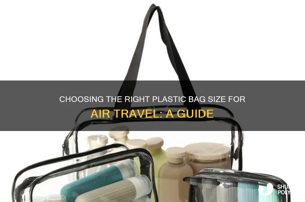 what size plastic bag for flying