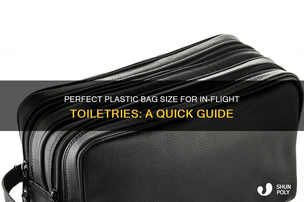 what size plastic bag for toiletries on plane