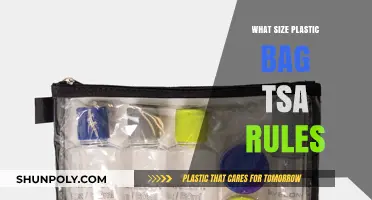 TSA Plastic Bag Rules: What Size is Allowed for Travel?