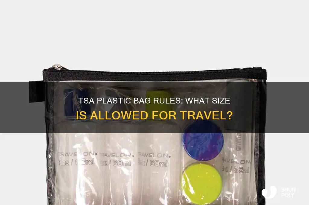 what size plastic bag tsa rules