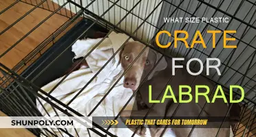 Best Crate Size for Labs: How Big?