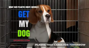 Choosing the Perfect Plastic Crate Size for Your Dog's Comfort