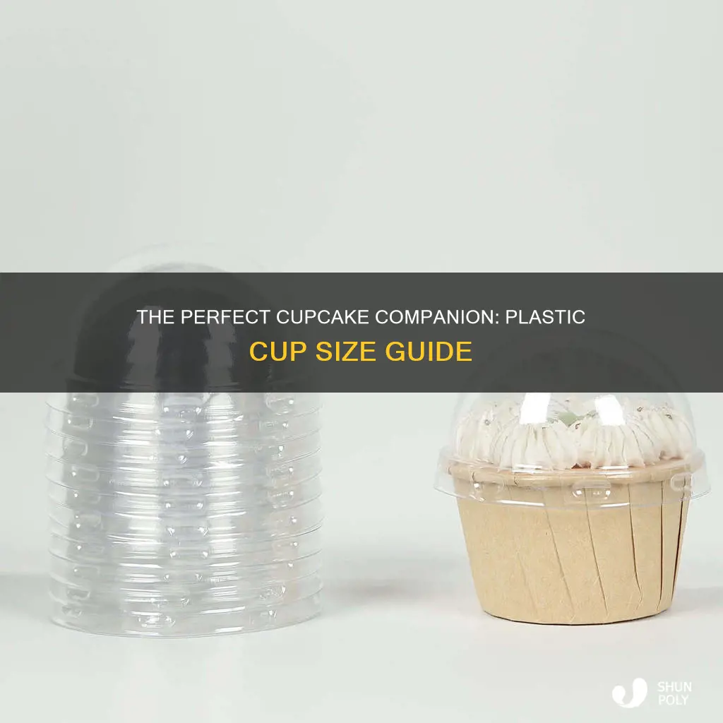 what size plastic cups for cupcakes