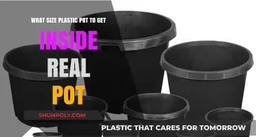 Choosing the Right Plastic Pot Size for Your Real Planter