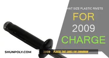 Best Plastic Rivet Size for Your 2009 Charger