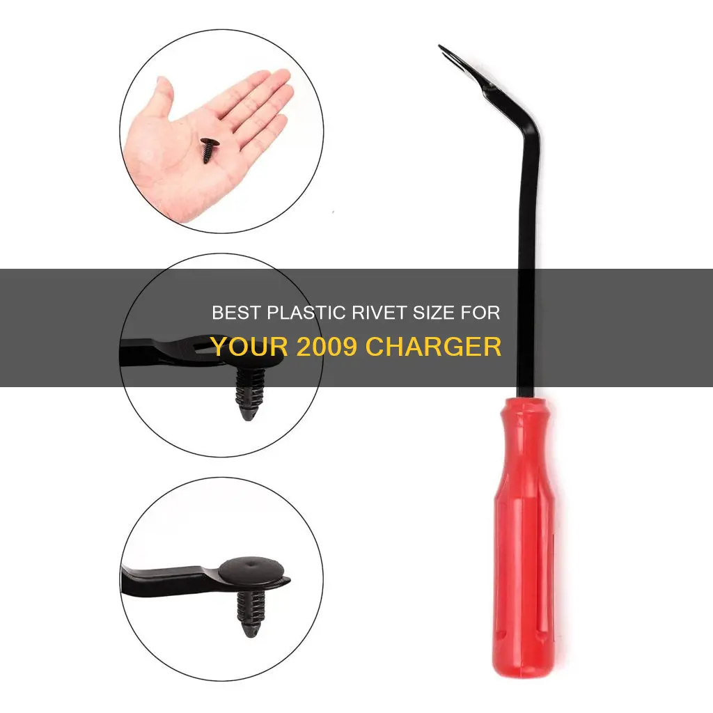 what size plastic rivets for 2009 charger