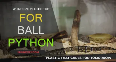 Plastic Tub Size for Ball Python Comfort