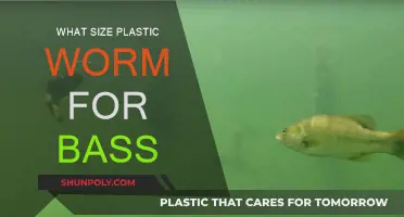Best Plastic Worm Size for Bass Fishing