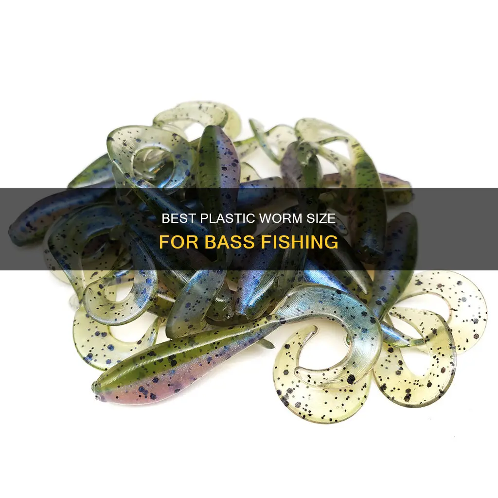 what size plastic worm for bass