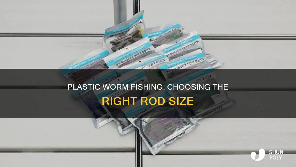 what size rod for plastic worm fishing