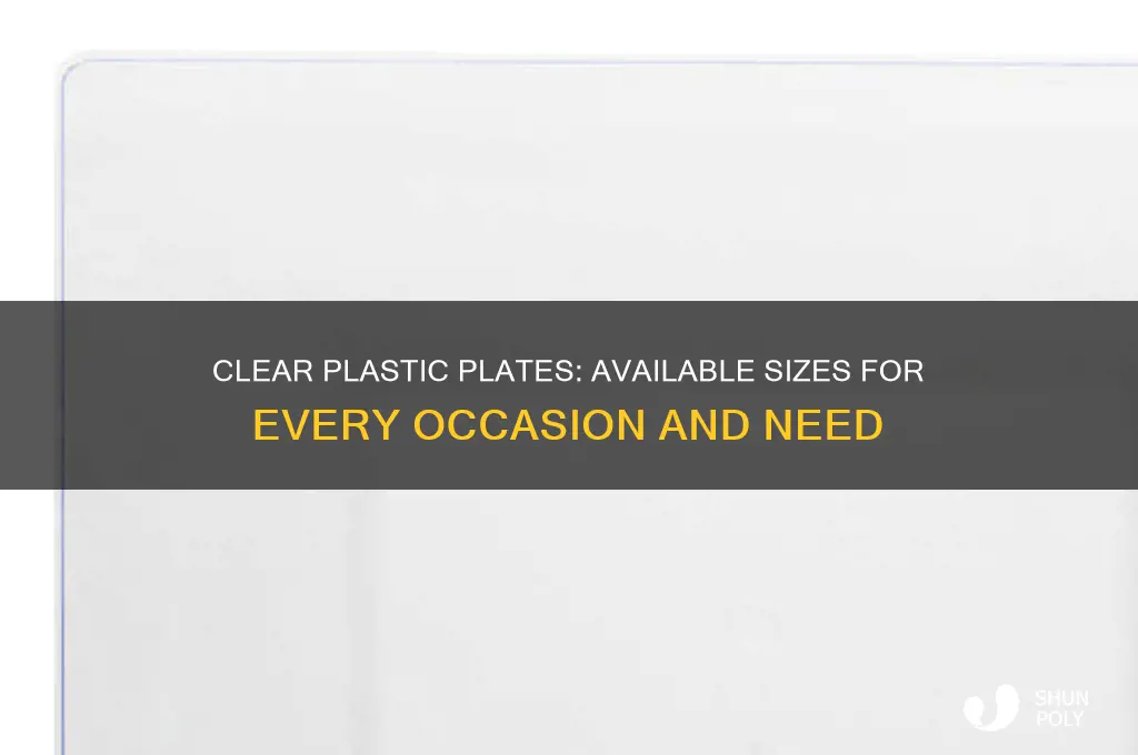 what sizes available for clear plastic plates
