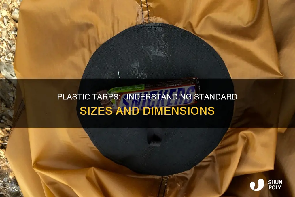what sizes do plastic tarps come in