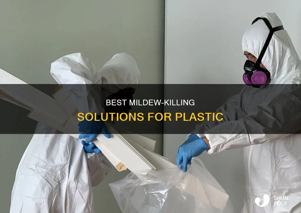 what solution kills mildew on plastic