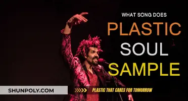 Plastic Soul's Sampled Song: A Musical Mystery