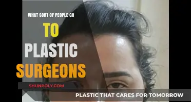 Who Seeks Plastic Surgery? Exploring Diverse Patient Motivations and Profiles