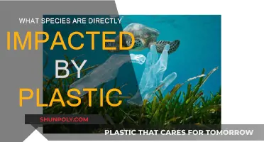 Plastic's Impact: Species on the Brink