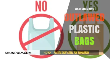 States Banning Plastic Bags: A Growing Trend in Sustainability