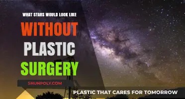 Unveiling Natural Beauty: Stars Without Plastic Surgery Transformations