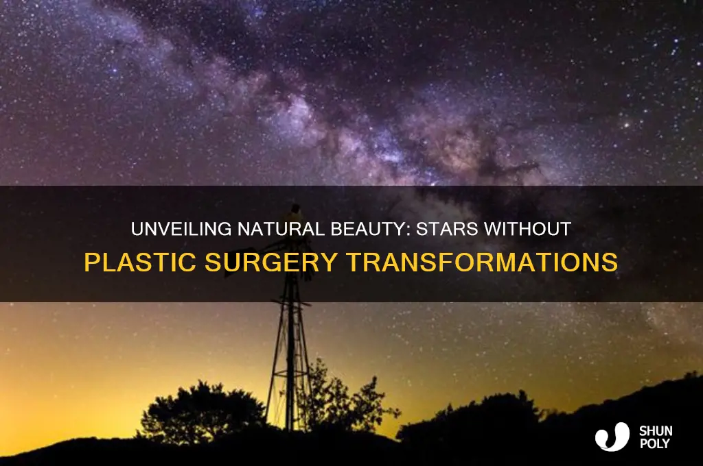 what stars would look like without plastic surgery