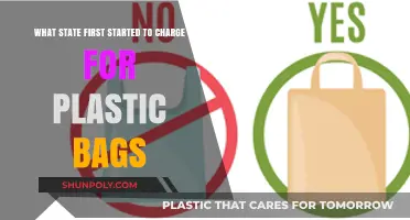 Pioneering Plastic Bag Fees: Which State Led the Charge?