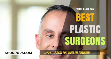 Top States for Plastic Surgery: Where to Find the Best Surgeons