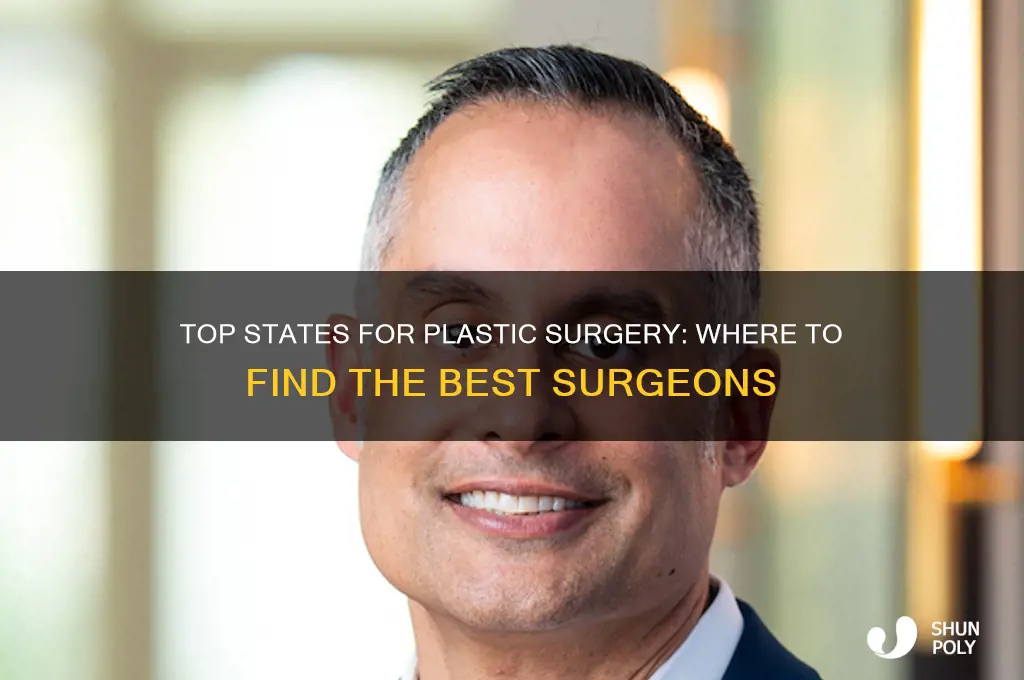 what state has best plastic surgeons