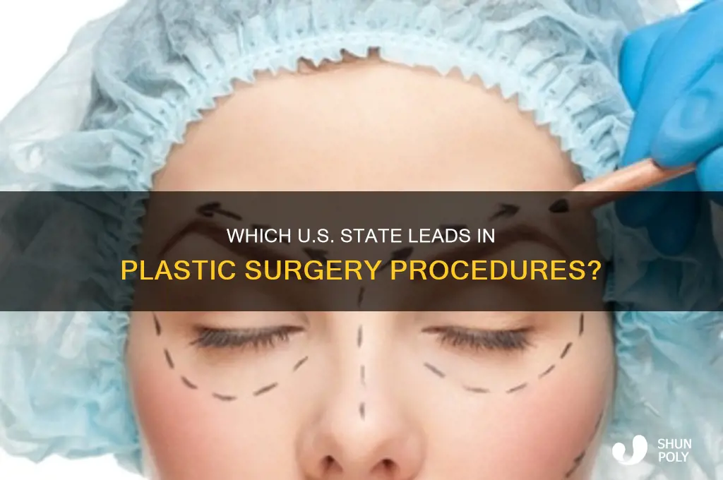 what state has the most plastic surgeries