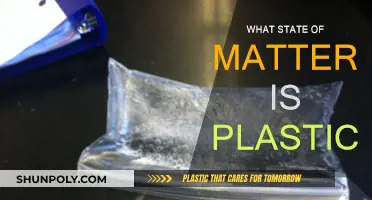 Plastic State of Matter: Understanding Its Unique Nature